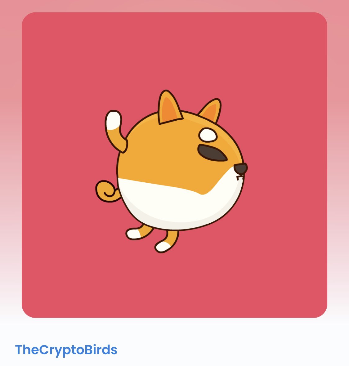 ho0li0's tweet photo. Yo @CryptoBirdsNFT airdropped me this 1/1 #shiba Birb 😭🙌🏼

I'm in awe of how kind and daringly fun this Birby community has been to me. I appreciate it birbs ❤️‍🔥

#NFTCommmunity #BIRBLIFE https://t.co/gZErkwZt3r