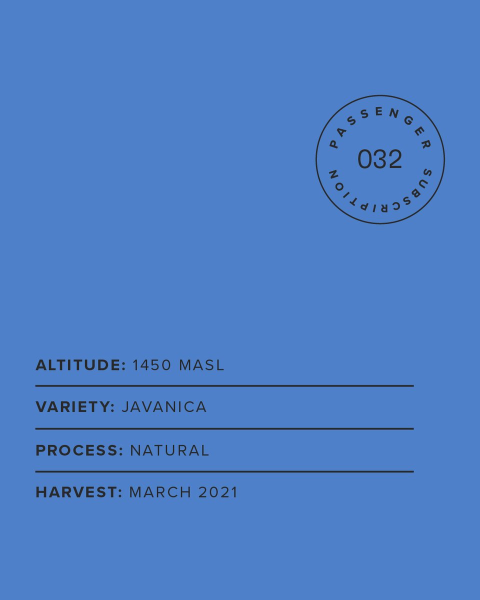 ozonecoffeeuk's tweet photo. Passenger 032 🌎 With tasting notes of strawberry, papaya and cacao, this week's coffee is a real treat! Click to learn more about our Passenger Subscription! 🌎 🧡 #PassengerSubscription #OzoneCoffee https://t.co/rkzHSyi6Ci https://t.co/uDjkOrJe8Z
