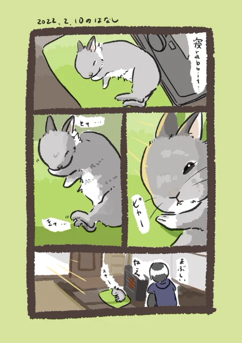 日付け変わって昨日のrabbit…
#うさぎのいる生活 