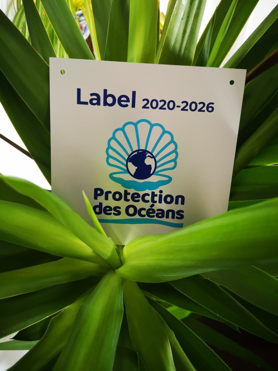 ProtecDesOceans's tweet photo. Bravo à #OneOceanSummit 
Il existe en France le #LabelProtectionDesOceans
7 communes françaises ont déjà été labellisées 
Cette action militante est la modeste contribution d'un groupe de bénévoles engagés.
@noplasticfrance @ZEROMEGOT1 @eaudeparis @PDubreuil_OFB @ZeroDechetSauv https://t.co/ZweMh4FM7R