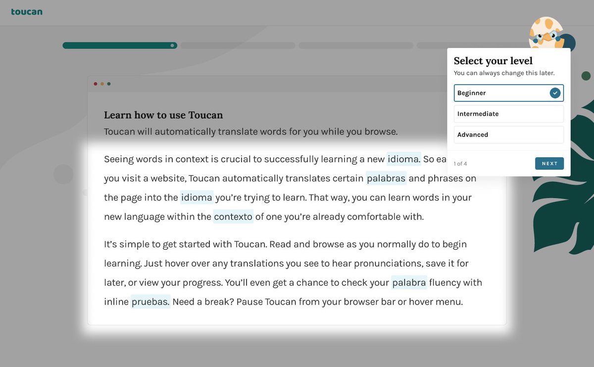 Deeper personalization is coming very soon to Toucan ⚡️
