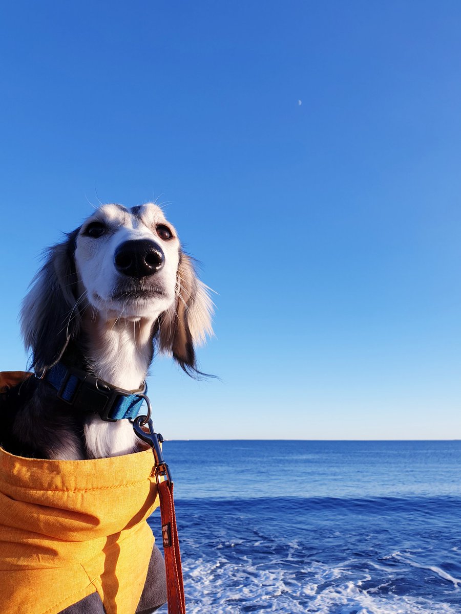 WTirith's tweet image. 