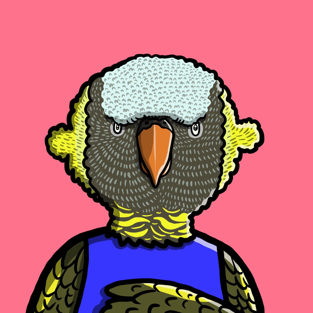 What do you think? I’ll creat nw collection (parrotfrens) in my os. Connection with my fam @CryptoMories <a href="/fishyfamNFT/">Fishy Fam</a> <a href="/SSF_NFT/">Sniping Samurai Fighterz</a> <a href="/alienfrens/">alien frens</a> <a href="/LittlelemonsNFT/">Little Lemon Friends</a> <a href="/FangGangNFT/">Fang Gang</a> @ChubbyKaijuDAO <a href="/CoconutzNFT/">Coconutz ( SOLD OUT )</a> ,after finish 100pcs, I really wan to do 5-10k project, need a team. 😚 dreamer.