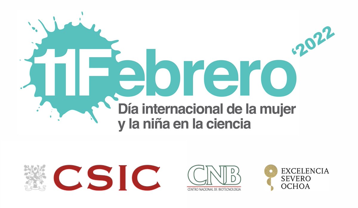 A lo largo del día, investigador@s del CNB nos contarán sus #CientíficasReferentes, experiencias científicas y trayectoria. Síguenos!
#MujeryCiencia #CNBerAs #11F