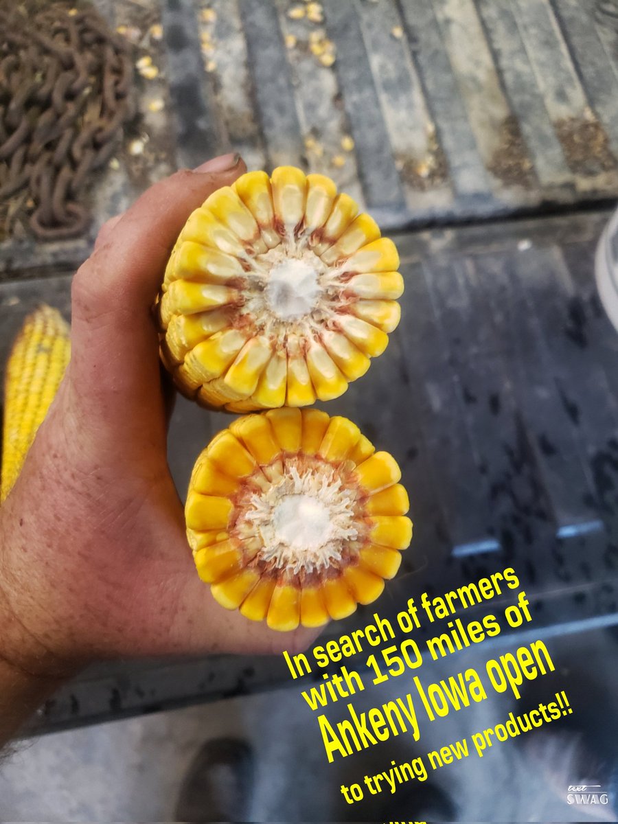 StrothmanAg's tweet photo. 💥🌽 25 time NCGA winner Jerry Cox will be in attendance giving his tips to increase yield and maximize your efficiency!!🌽🌿 Are you looking for answers to higher return on investments for your farm!!?? Click the link below!⬇️

https://t.co/I2Wg2bTNgX https://t.co/am2DvoaETy