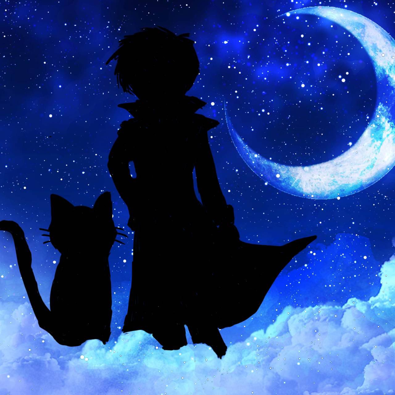 Spyralリダンシャドバ素人yp 深夜のイラストタイムです 月夜のシルエットイラスト になります なかなか描くの難しいけど描いていて楽しかった シルエットはペルソナ5 のモルガナとジョーカーです ペルソナ5 ジョーカー ペルソナ イラスト T