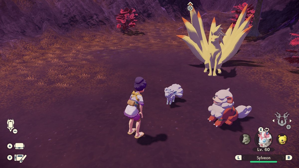 AlyssaSueee's tweet photo. cuties #PokemonLegendsArceus #NintendoSwitch https://t.co/WYclgZL4EW