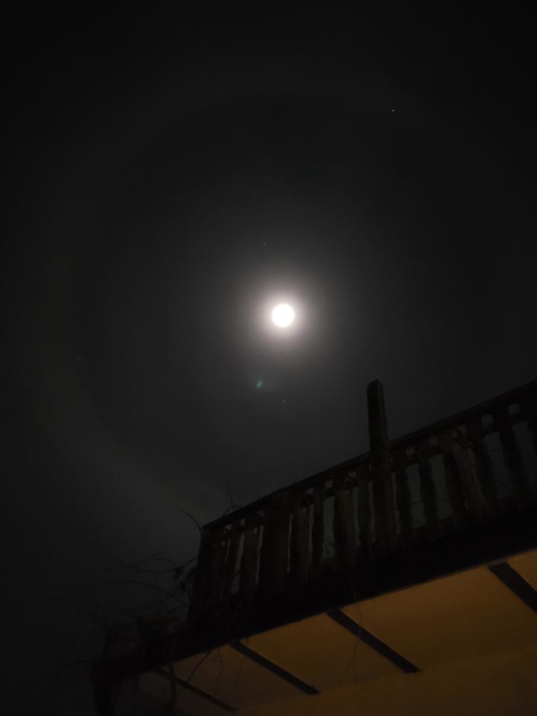 raiksaw's tweet photo. Ich gebe zu meine Handycam ist eher bescheiden, aber wenn man genau hinschaut kann man einen #HaloRing rund um den Mond erkennen. Der Halo-Ring, auch #Lichthof genannt, prophezeit einen Wetterumschwung. Wir dürfen gespannt sein🤔 
📷 gerade eben in #Salzwedel #SachsenAnhalt https://t.co/xA7MqxWGAn