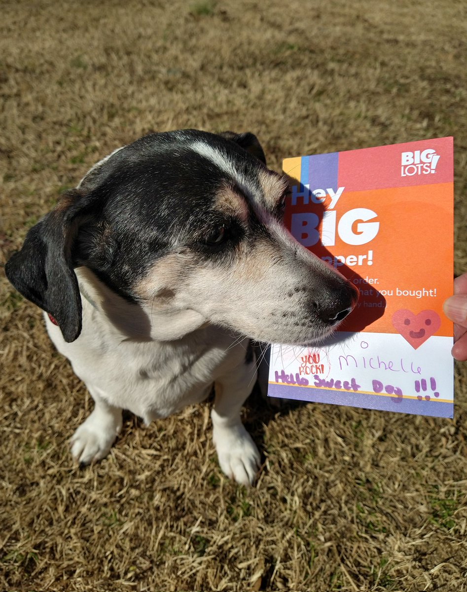 RachelRG's tweet image. Shiloh appreciated the sweet greeting... and quick shipping of her food, too. Thank you!
#BigLots