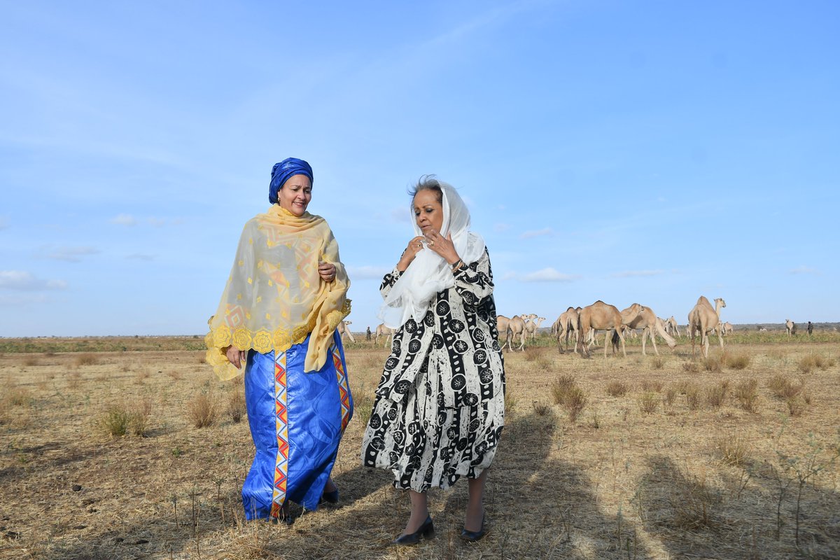 AminaJMohammed tweet picture