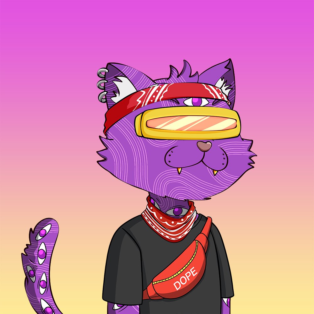 frodocrypto's tweet photo. @DrNFTizzle @Dope_Cats https://t.co/FfQKTsqEE3