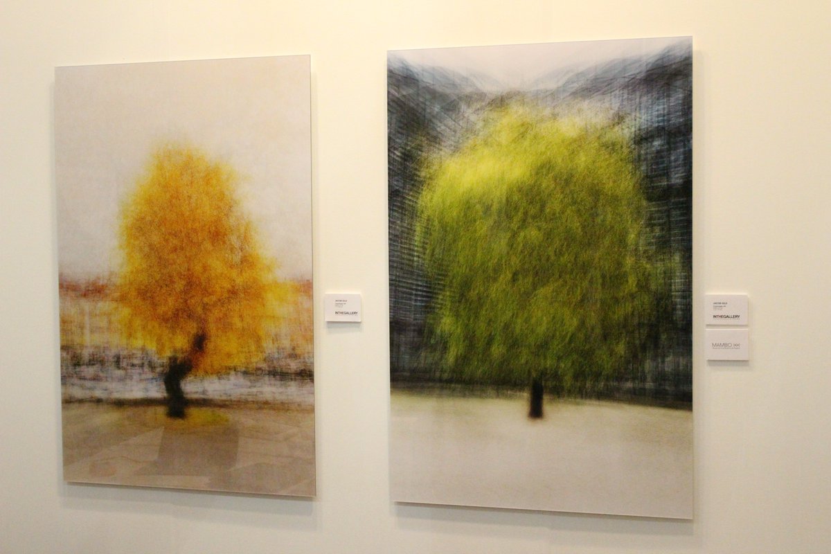 DKAMBinMexico's tweet photo. 📢 ¡No pierdas la oportunidad de conocer el artista fotográfico 🇩🇰 #JacobGils e #INTHEGALLERY! Con la exposición fotográfica #Movement incluyendo motivos de árboles de Copenhague 🌳 Jacob Gils participa personalmente en @ZonaMaco por primera vez y queda impresionado 👏 https://t.co/oNCTwIKwPc