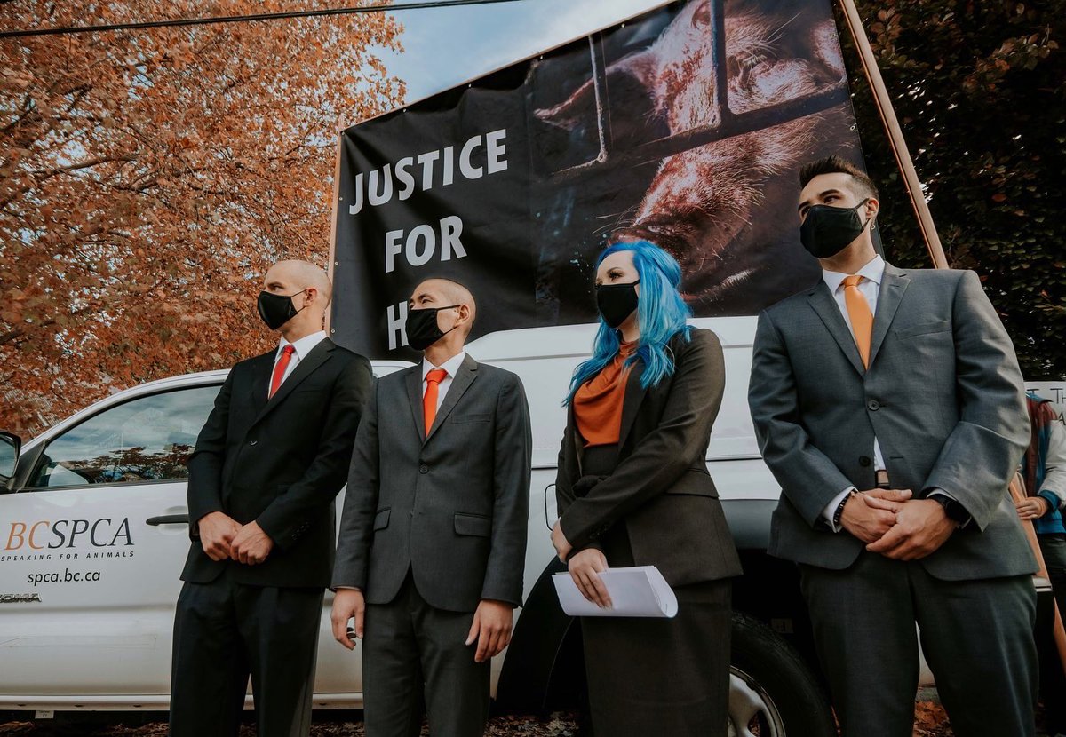 AmySoranno's tweet image. Buy a tee = help keep us out of jail!

After exposing animal abuse at a pig farm, the #Excelsior4 are heading to trial! In March, we’ll face pre-trial at the BC Supreme Court. To help with our legal fees, we have launched shirts! You can buy one here: my-store-c41b2a.creator-spring.com/listing/excels…