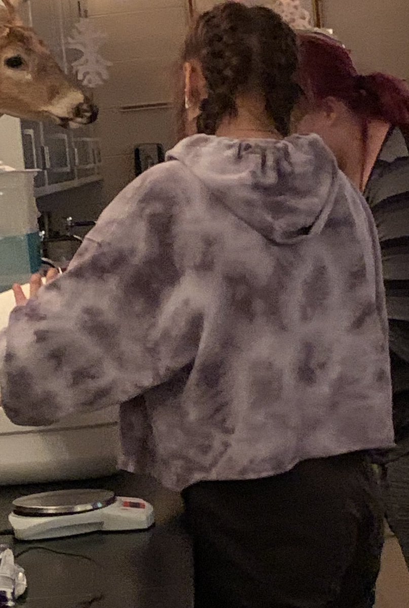 Mrs. Poston tweet media