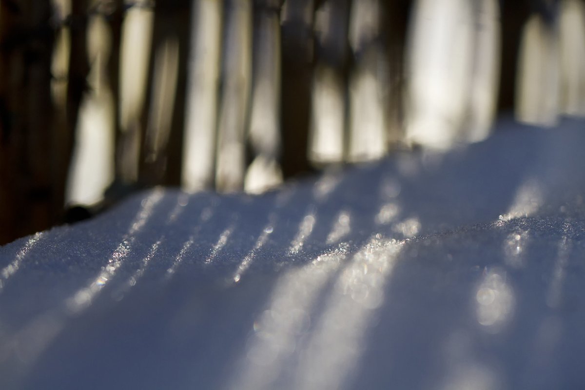 anarchyllect's tweet photo. the frozen warmth of the sun
Author: 1crzqbn
https://t.co/u1ZipsUezy
#art #photography #sliderssunday https://t.co/nHZCvbJh50