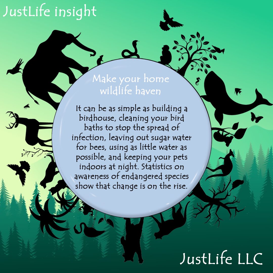 nftJustLife's tweet photo. What will you do this spring for our animal frens?
#JustLife #ecology #conservation #animalfrens #animals #endangered https://t.co/L01VwDtV95