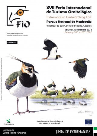 SomormujoRadio's tweet photo. Mañana llega el Podcast!
▪️Conocemos todas las novedades de FIO 2022 con @birdextremadura 
◾️Mirad las Aves del Cielo, joya de literatura y aves de @StanOchota con @Javierggar @Volcano_Libros y  Jacinto Antón
◾️@WebOryx presentará en FIO las nuevas guías de campo
#Radiornitologia https://t.co/OQxH3oihCY