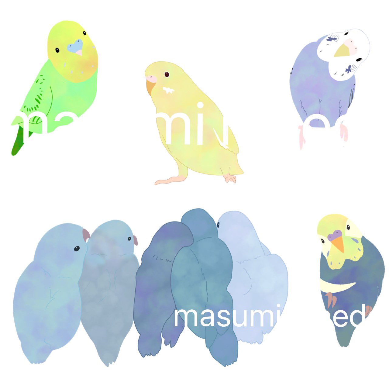 セキセイインコイラスト Twitter Search Twitter