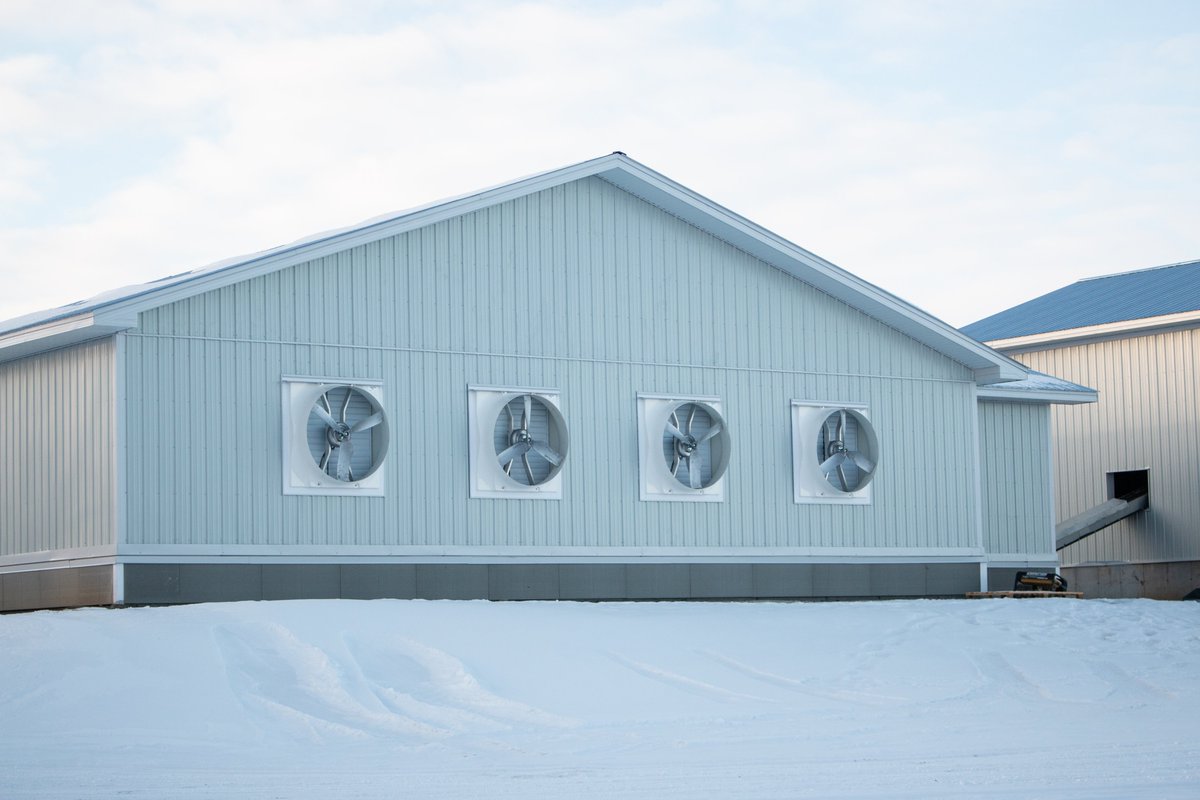 Ruby360Ltd's tweet photo. #FlashbackFriday to Jan. 2020 - Commissioning an #energyefficient #organic pullet barn in Alberta. @MuntersGroup direct drive fans, @MultiheatInter hot water heaters, #Once LED lighting all controlled with #Ruby360 custom control panels using #Opticon technology https://t.co/1bo95AzED0