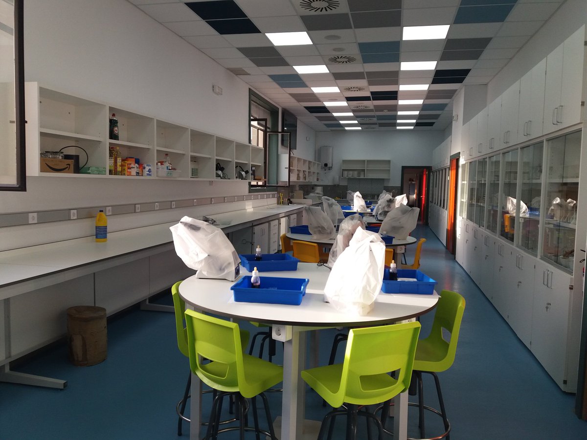 1pasoala100cia's tweet photo. Seguimos con las prácticas de #biología en formación inicial de Maestros/as del #DGMEPyPed, en #FyDB de @ucm_educacion. Nuevo grupo que aprende a usar el microscopio y a hacer preparaciones de cebolla y de puerro. La apertura de ojos indica el paso de "no se ve nada" a "ostras" https://t.co/XZwxGfZWao
