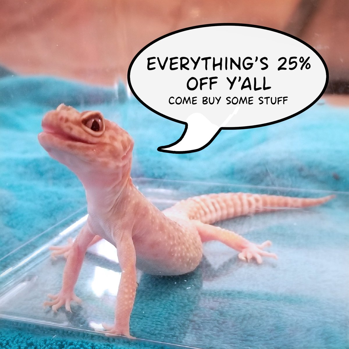 OomlesArt's tweet image. Hey all, Oomles here with an update - Smoothie has been having a bit of a rough time, so I brought her to the vet.

The good news? I was able to get some medicine for her!
The bad news? It wasn't exactly cheap / in my budget...

So! I'm having a s/ale!
🔗⬇