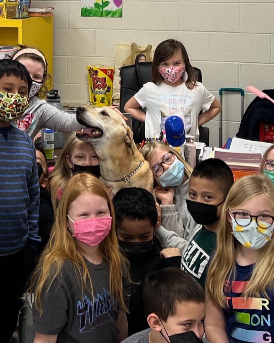 elkin_elem's tweet photo. Our students are being introduced to Jake today! Jake is Finn’s friend and he’s helping us get ready!! #friendsoffinn @elkincity ❤️💛💙🐾🦴🦮 #therapydog https://t.co/awptPqRVDQ