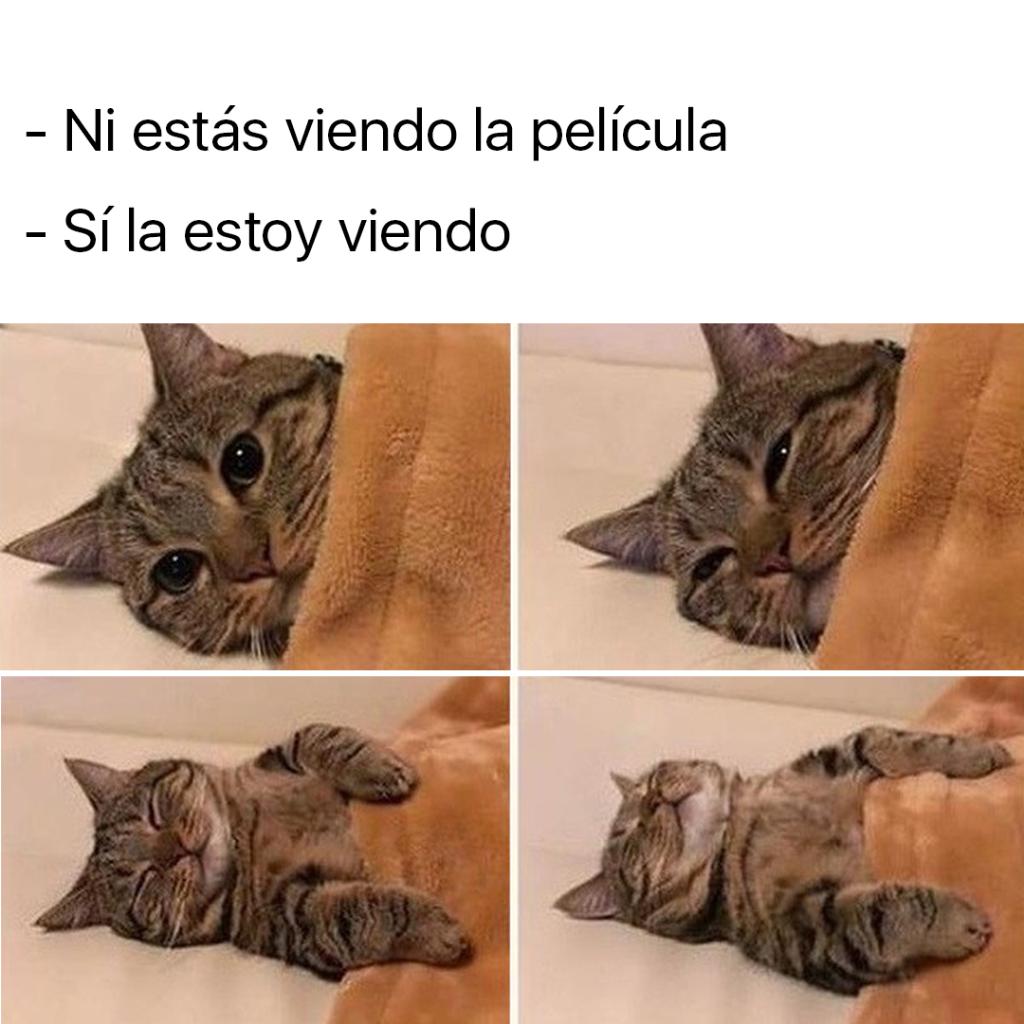 Si te estoy viendo a los ojos 🫠🤣🤣🤣 #Meme #MemeCut #CapCut | TikTok, image size:1024x1024