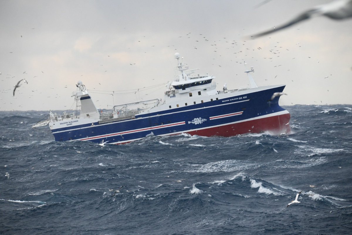 Bergþór Gunnlaugsson tweet media