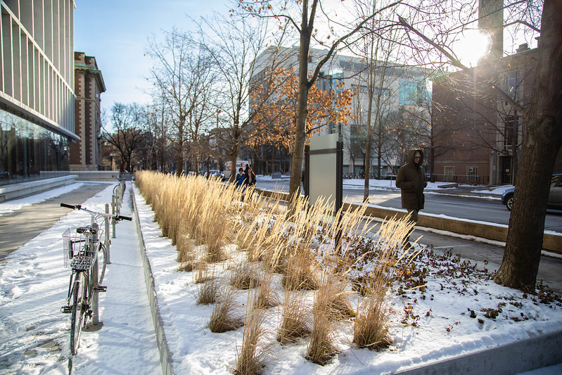 UofTEngineering's tweet photo. New from @UofTEngDean: The Myhal Centre will remain closed throughout the weekend, and classes are being relocated. A big thanks to the staff working to resolve the issue and support instructors and students: https://t.co/x7ws6BssA9 https://t.co/T1xV56G2na