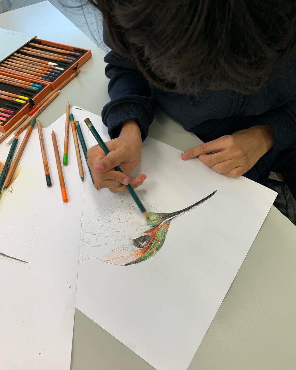 Arts_WEK's tweet photo. Our A Level Art taster involved learning how to colour match using coloured pencil by referring to Miss Kemal’s animal drawings! Our students once again never failed to impress by demonstrating the techniques taught with confidence! #hplanalysing #hplcreate #scienceoflearning https://t.co/FMUYRyKGm8