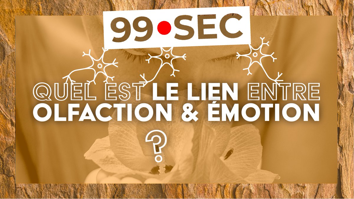 lexploratoire's tweet photo. 99🔴SEC Nouvelle vidéo !
Épisode n°2 | Saison 2 : Quel est le lien entre olfaction et émotion ?
🧠➡️Présenté par Maëlle, doctorante en neuro-informatique
#cerveau #neurosciences
https://t.co/gUnpbFx1PJ https://t.co/UiIoo4AZEJ