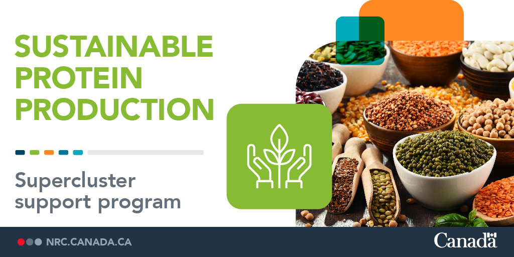 NRC_CNRC's tweet image. 1/2: It’s #WorldPulsesDay! The SPP #supercluster program supports #PulseResearch to increase the value of #plantproteins. #NRCAgResearch is part of an int’l working group developing a #genomics framework for new #pulsecrop development ow.ly/6p5R50HRV5A @proteinindcan