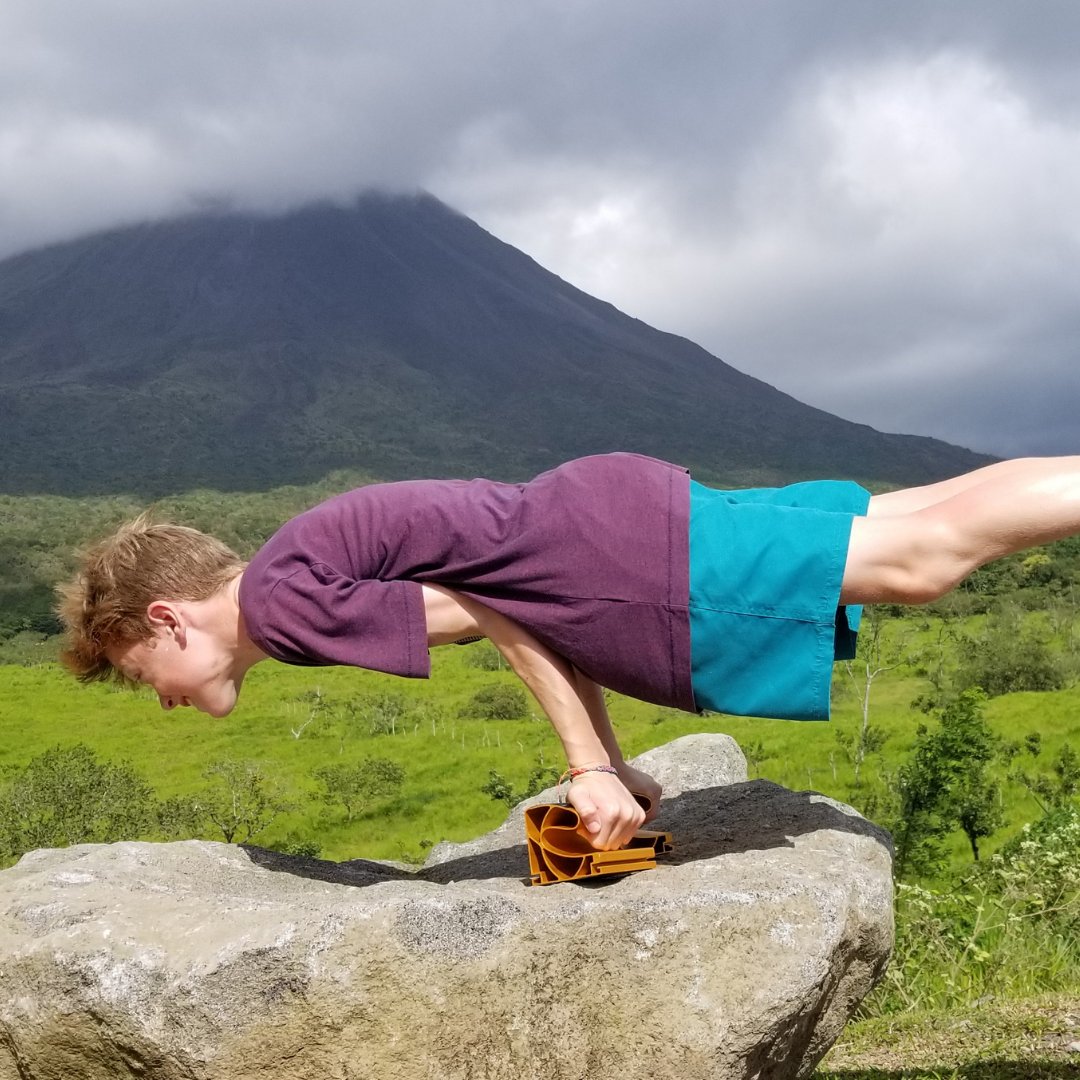 Bear Blocks tweet media