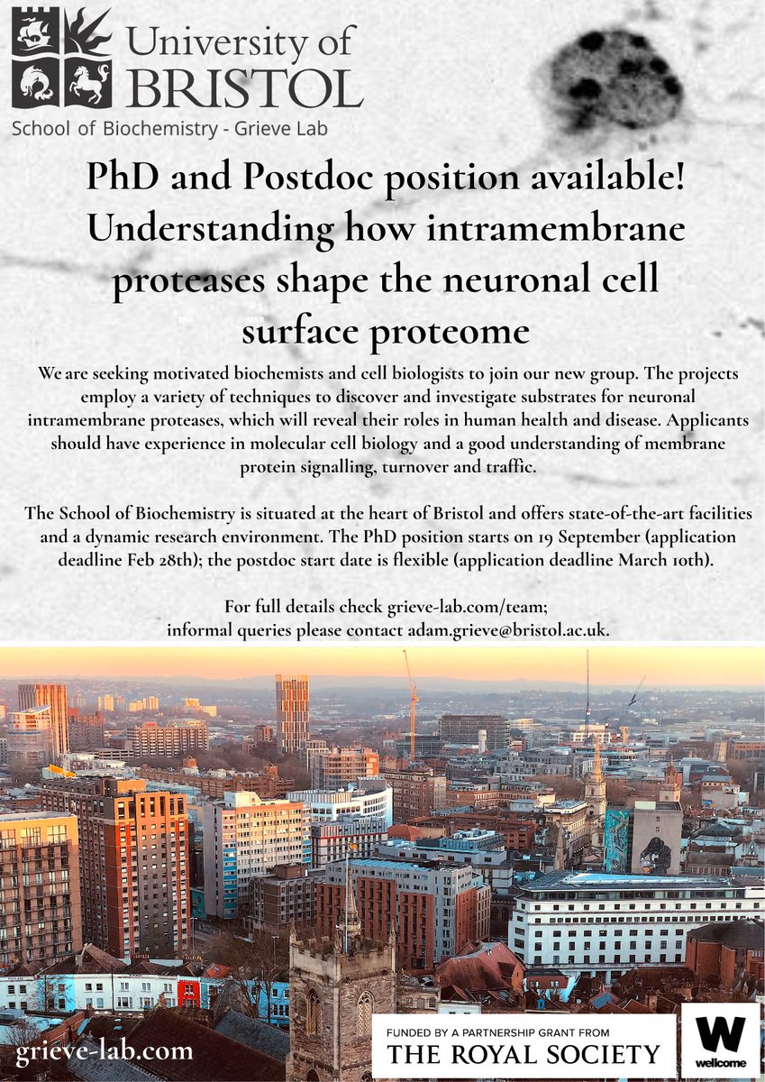 adam grieve (@adam_grieve) on Twitter photo I'm building a team <a href="/BristolBiochem/">Bristol Biochemistry</a> investigating membrane protein signalling and turnover in neurons. Added bonus? You get to live in Bristol, the coolest city in the UK! Apply here:
PhD: tinyurl.com/2efh4uxx
Postdoc: tinyurl.com/yckmjfe6
Website: grieve-lab.com I'm building a team <a href="/BristolBiochem/">Bristol Biochemistry</a> investigating membrane protein signalling and turnover in neurons. Added bonus? You get to live in Bristol, the coolest city in the UK! Apply here:
PhD: tinyurl.com/2efh4uxx
Postdoc: tinyurl.com/yckmjfe6
Website: grieve-lab.com