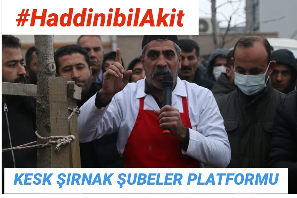 Eğitim Sen Şırnak tweet media