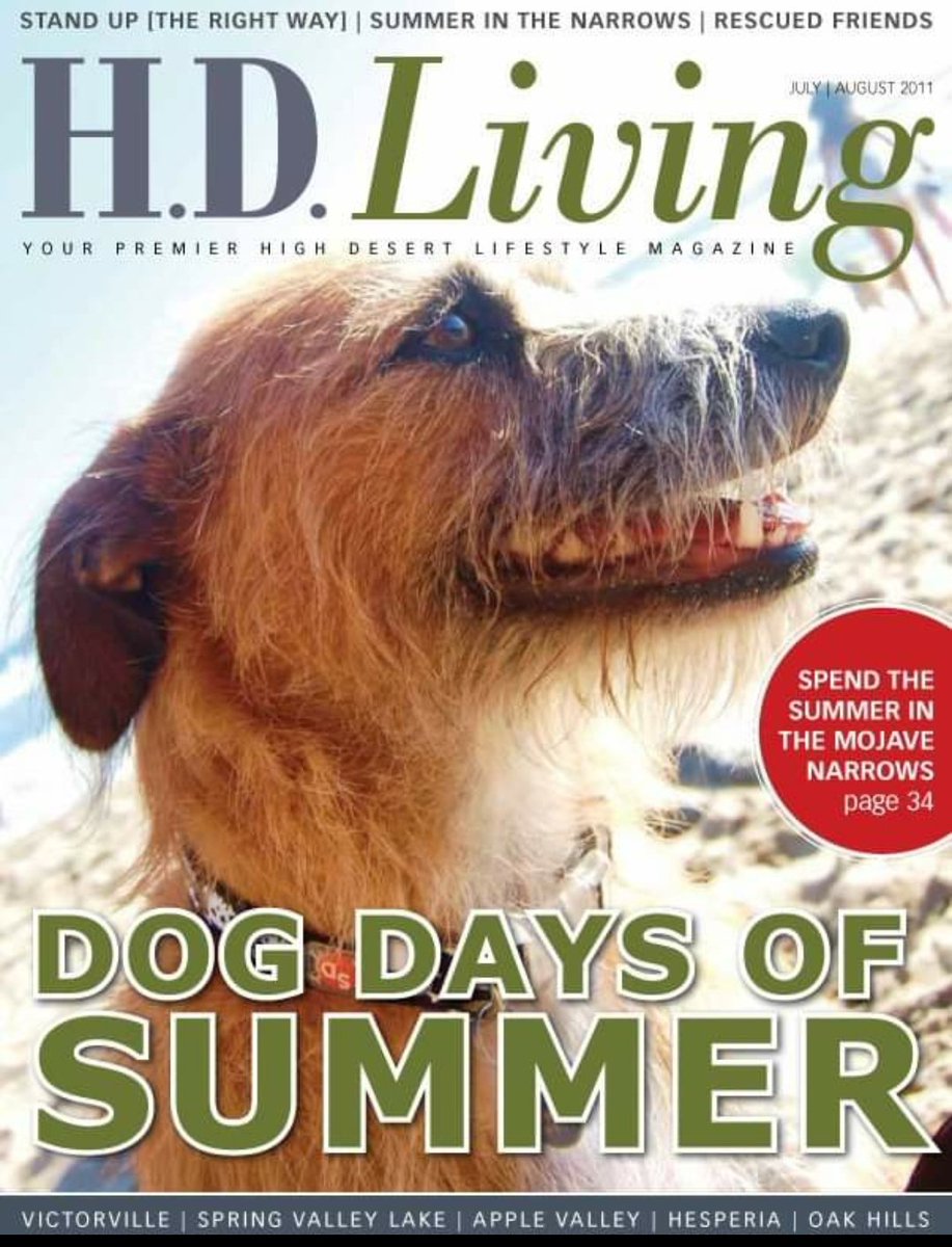 H.D. Living Magazine tweet media