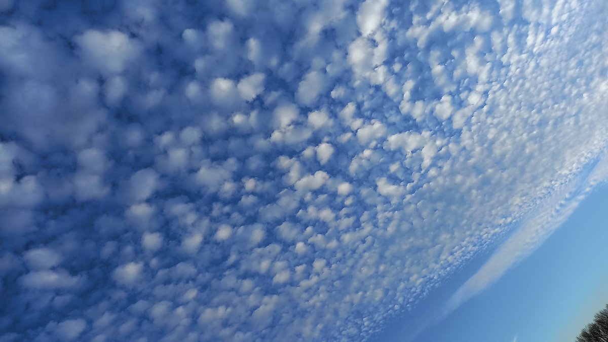 SWofdeepsoul's tweet image. I will never get enough of walking by Danube river ❤
#healingtime
#timeformyself
#awalktoremember