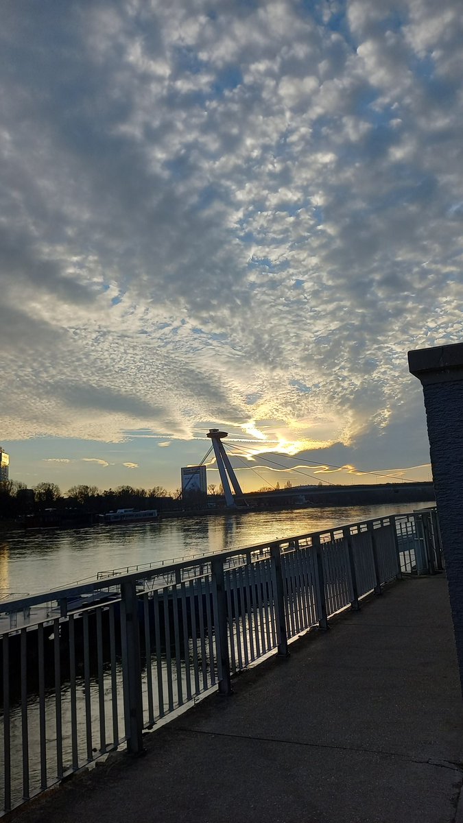 SWofdeepsoul's tweet image. I will never get enough of walking by Danube river ❤
#healingtime
#timeformyself
#awalktoremember
