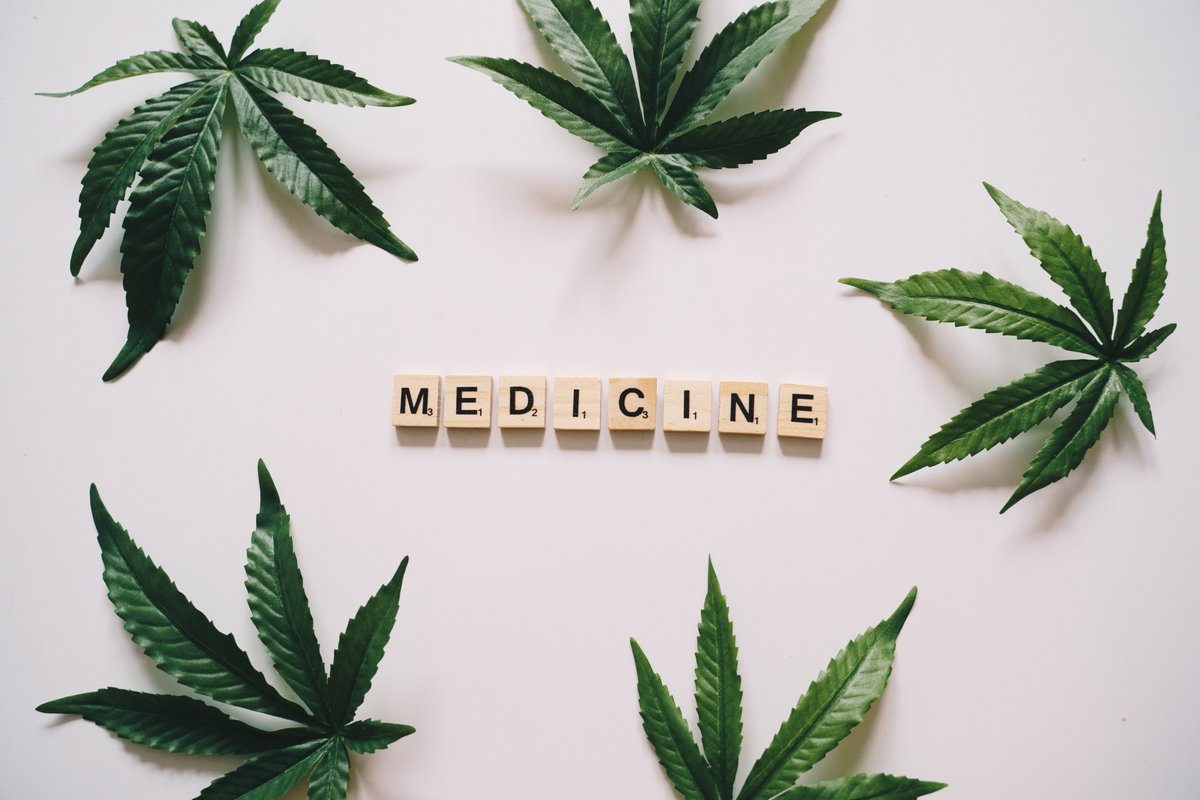 med_kraft's tweet photo. Live in moments that matter with MEDKraft™
Learn more: https://t.co/B6T0oeX3Fh
#CBDTwitterParty #CBD #CBDTwitter #cbdoil #CBDオイル #CBDVapes #MEDkraft https://t.co/Tl0wI6HYyT