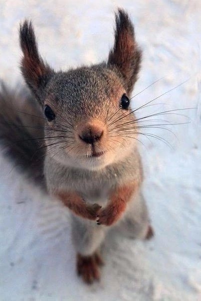 Valya1704's tweet photo. Hello, guys! 😍 https://t.co/zcgN6Tcxn4