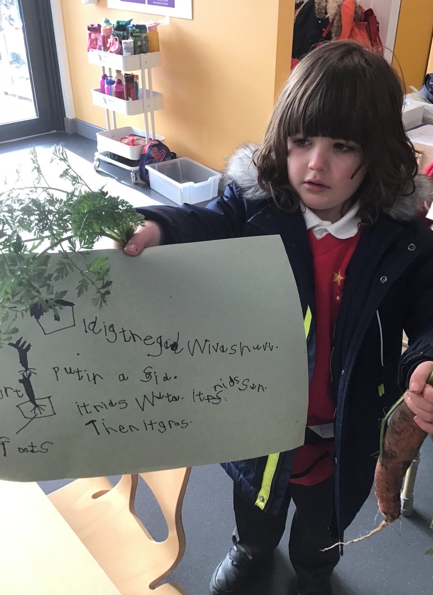 westheathprim's tweet photo. We were so excited to find the carrots we then wrote about the growing process and described them using our super phonics knowledge! #WHPSClass2 #WHPSEyfs πβοΈ https://t.co/udMlT23QpK