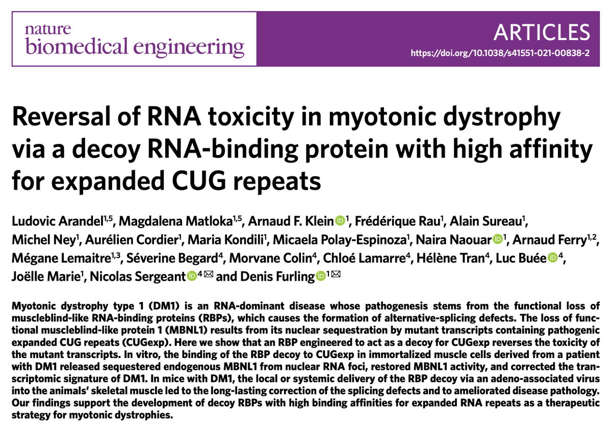 Reversal of RNA toxicity in myotonic dystrophy via a decoy RNA-binding protein with high affinity for expanded CUG repeats

rdcu.be/cGLwR