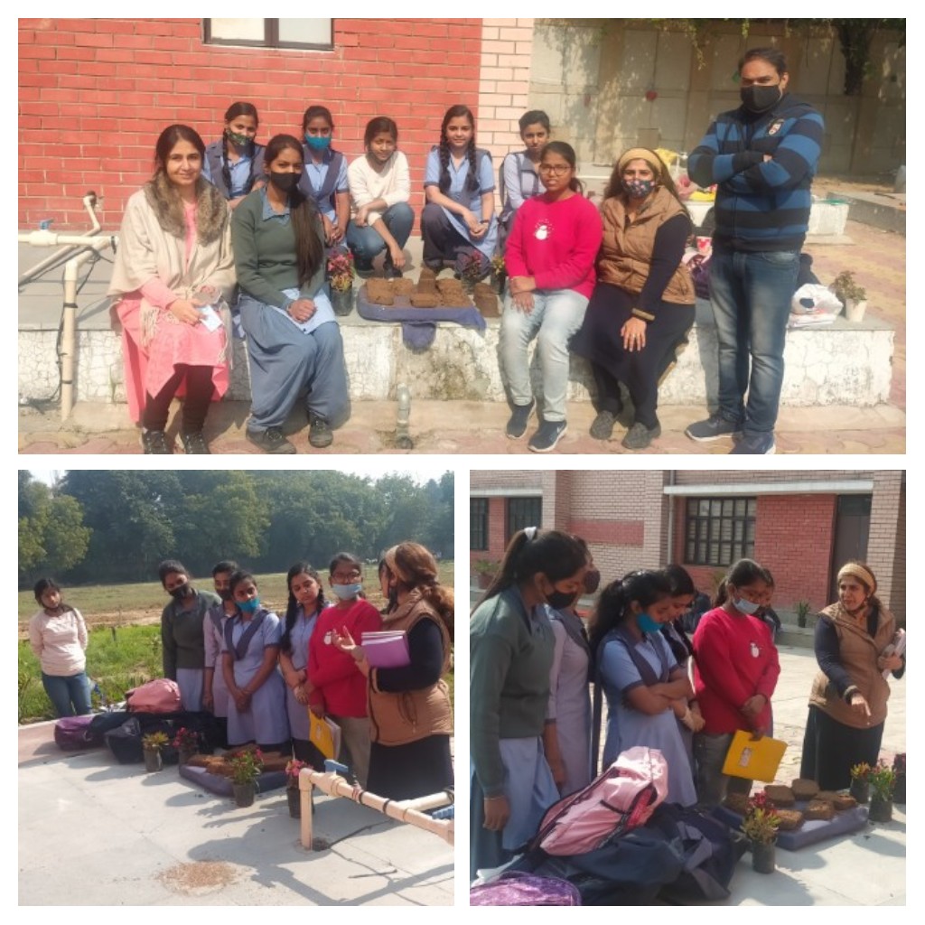 Sachinkkhurana's tweet photo. "The Budding buds" team is ready to compete for round-2 of #businessblasters ,.
Guidance from coaches, experienced teachers helped these little buds to blossom 🌼🌸
@SapnaYadav_EMC
@MonikaJagota
@PbpandeyB
@sakshi_yadav04 
@BB_official2021 
@msisodia
@ManuGulati11 
@coed_3 https://t.co/msfp4QEsnK