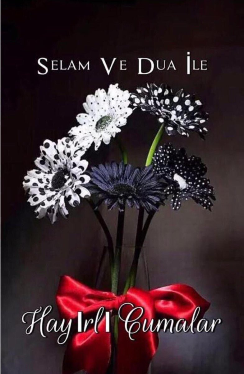 ar_suphi's tweet photo. https://t.co/vQYYFfjLrd