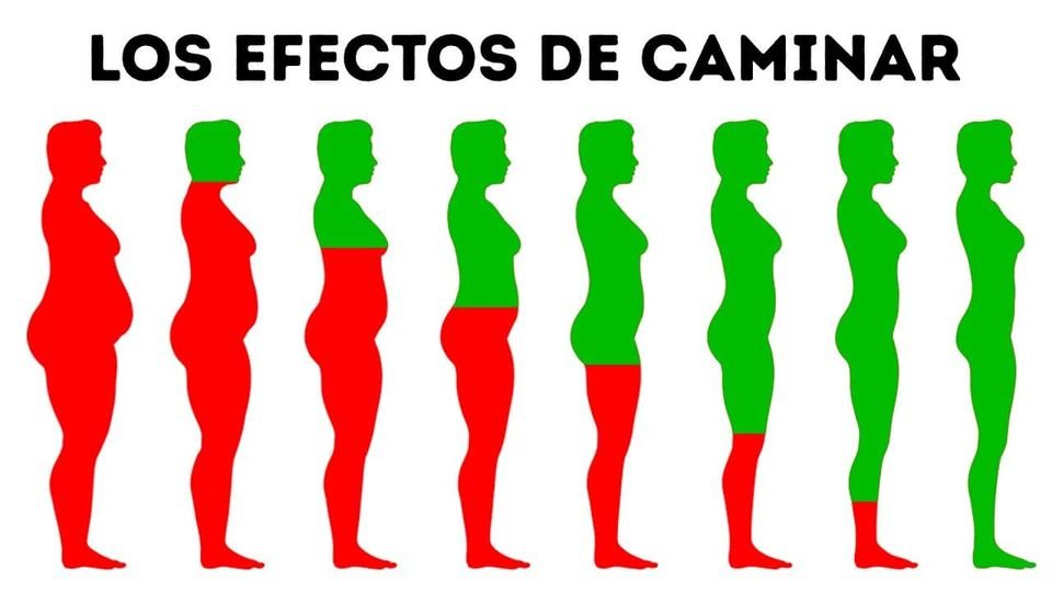 enconexionreal's tweet photo. Tan solo por salir a caminar https://t.co/L0r0xqSo0b