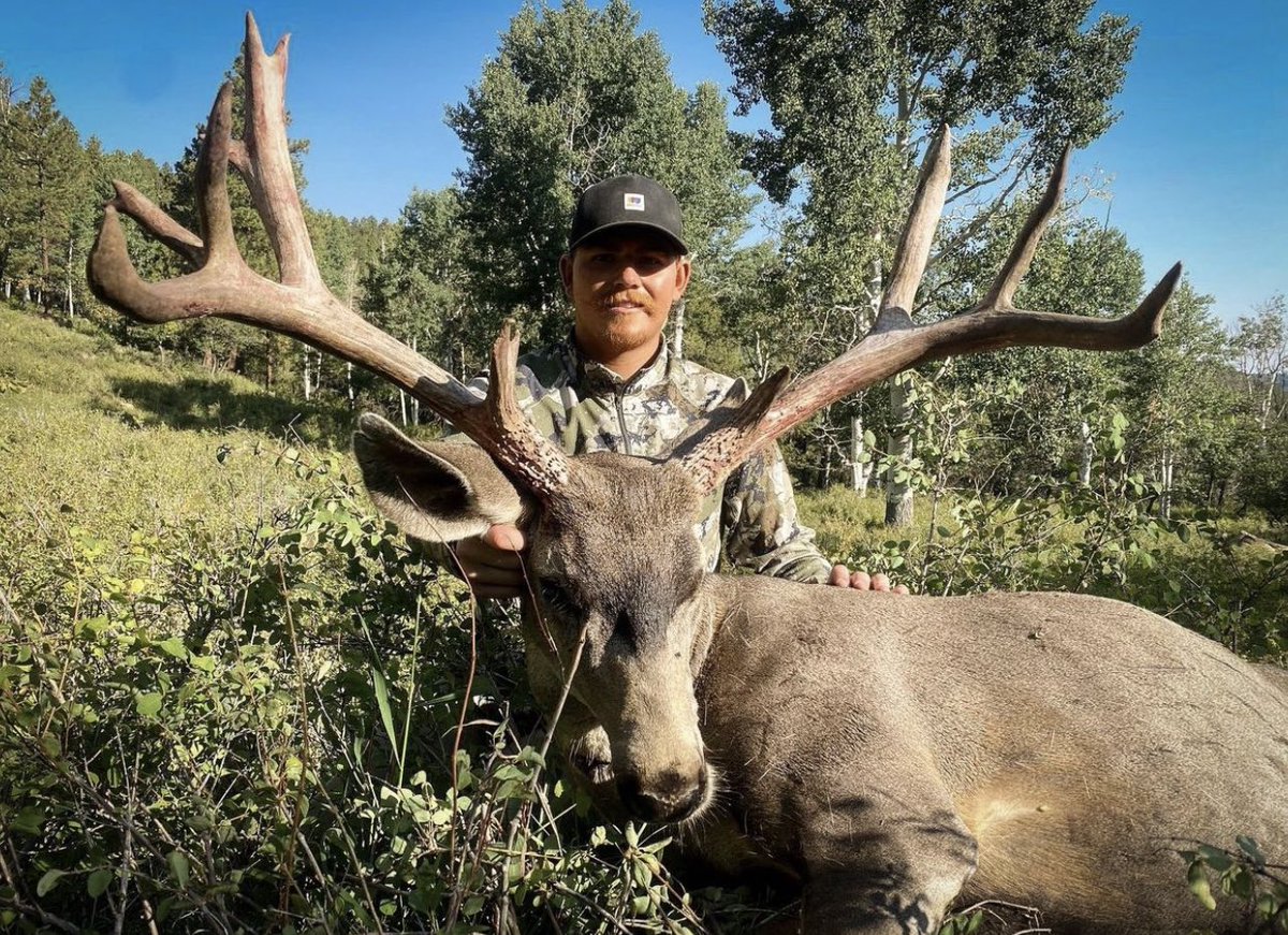 eastmans's tweet photo. Wide load!  #eastmans #muledeer https://t.co/gMeeUBDJkp