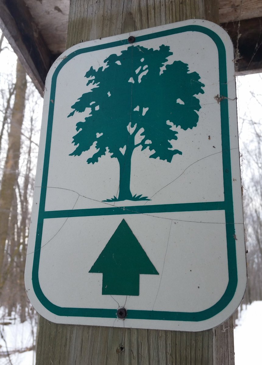 UteSchmid's tweet photo. Some of the #signs spotted and photographed during my afternoon hike at #TinyMarsh near Elmvale, ON. I can certainly LIVE within these! #SimcoeCounty #Snowflakelady #ResidentialTourist https://t.co/O5a4VCGwOS