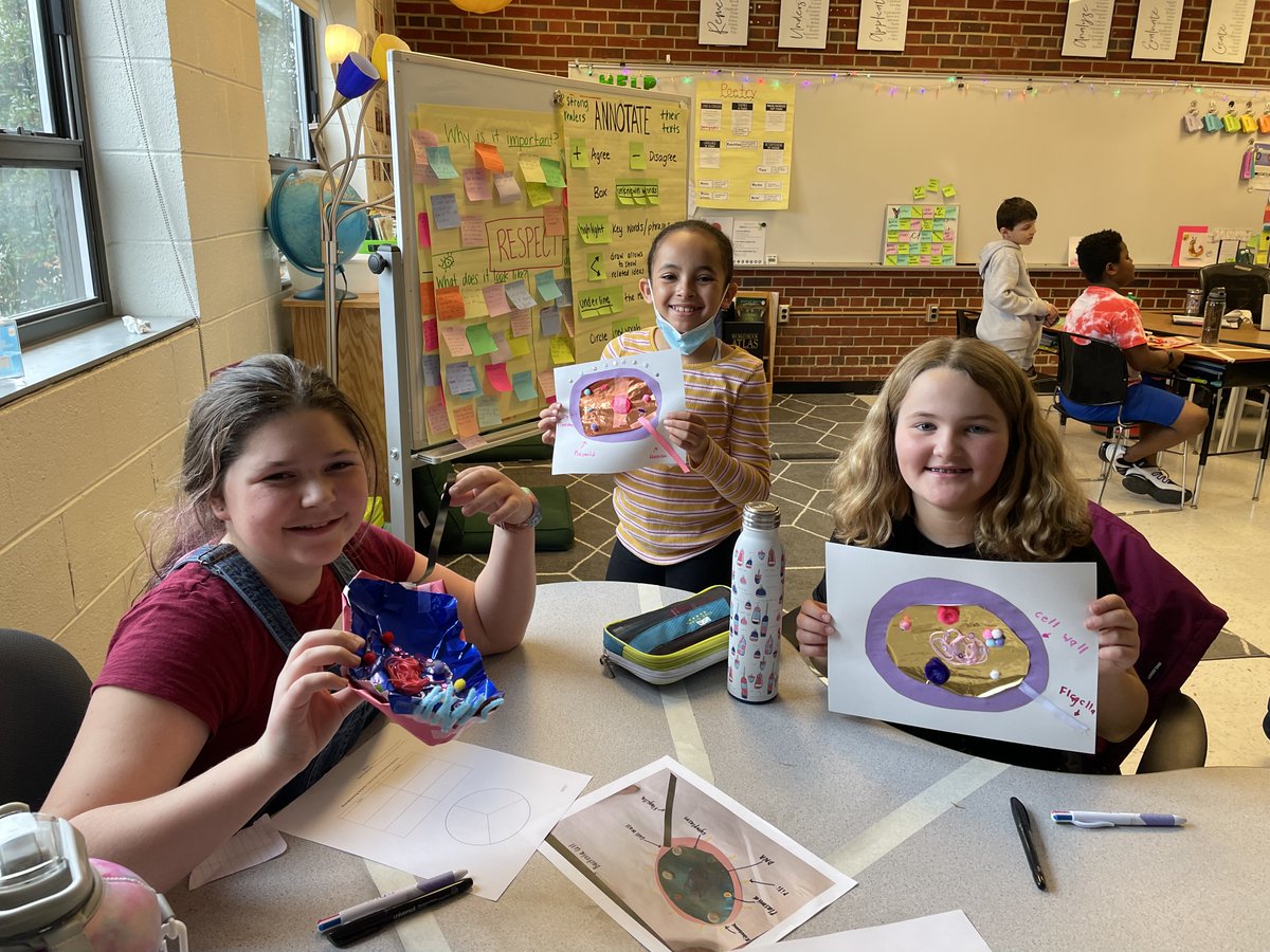 epic_engr's tweet photo. At last week's EPIC workshops we focused on the field of microbiology. The student's made their own textile bacterial cells and cultured environmental bacteria on agar plates! #EPIC #STEM #Dyslexia https://t.co/oz5SSMDQue