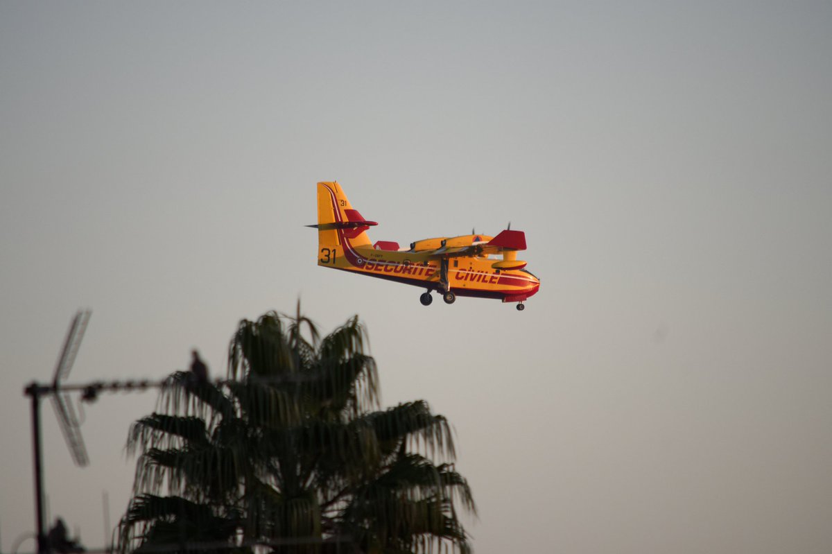 actcoum's tweet photo. L'un des 3 canadairs qui a atterris à @AeroportNice en fin de journée en survolant #Nice06 à basse altitude  😍😍
#AvGeek #planespotting @SecCivileFrance @VilledeNice https://t.co/wV895rP29L