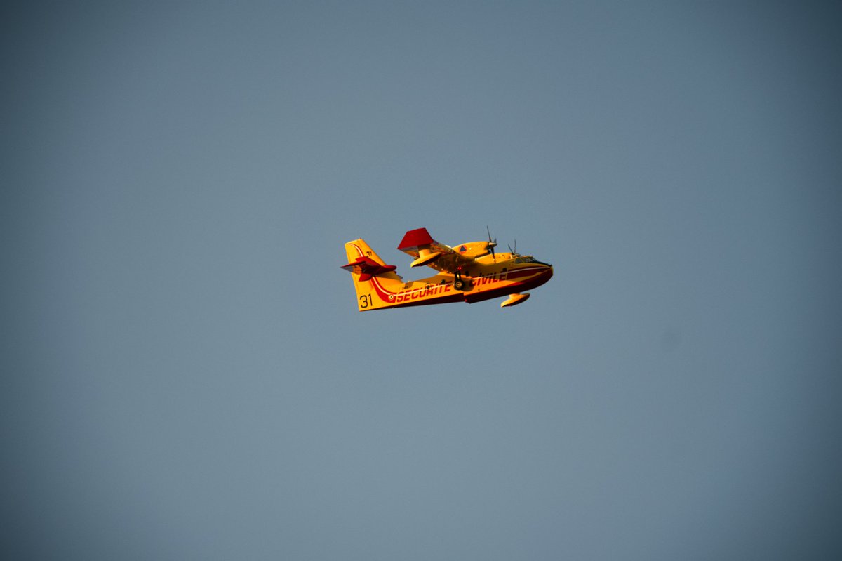actcoum's tweet photo. L'un des 3 canadairs qui a atterris à @AeroportNice en fin de journée en survolant #Nice06 à basse altitude  😍😍
#AvGeek #planespotting @SecCivileFrance @VilledeNice https://t.co/wV895rP29L